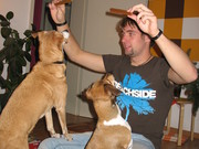 paule2005