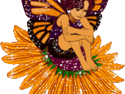 arcobrauni