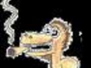 Cholerikerin
