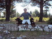 Erdal