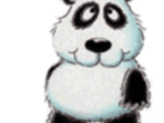 pandabaer52