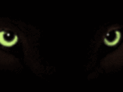 Panther62