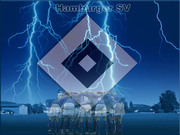 HSVFAN1995