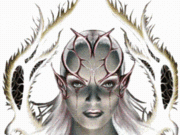 Nayeli