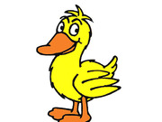 LittleVali