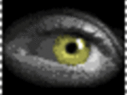 Gucker0815