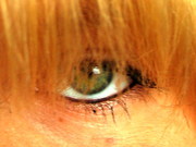 Blondi