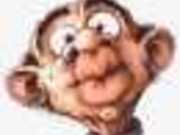 Zaccarius