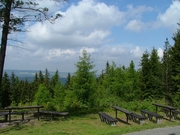 Almholdi