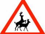 geiler_bock