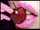 x_flower_x