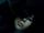 Beyond