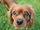 Zu Milow01