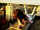 Nadl_1