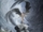 dream_angel1988