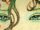 Rhalina