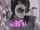 Freak_in_pink