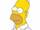 HOMER-S