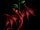 drache76
