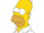 Homer_98