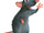 mellymaus85