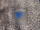 Zu donald12435