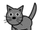 wildkater