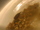 Triops