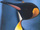 Pinguinpower