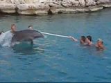 Delphin Therapie