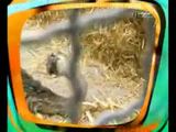 TV Total Mix