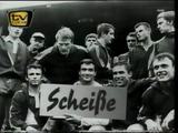 Super Gehirn