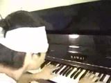 Super Mario Klavier