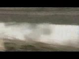 toller Stunt