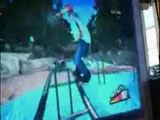 Hund spielt Wii