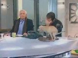 Hundekacke Hundekacke