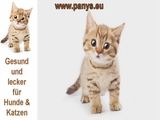 Was Hunde und Katzen &uuml;ber Ihre Menschen denken