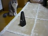 Katze vs Metronom