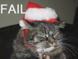 Failcats