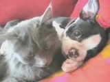 Das ist Liebe