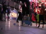 Ein Hund als Saubermann