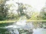 Schmerz-Compilation