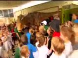 T-Rex &auml;ngstigt Kids