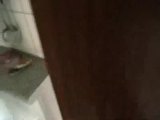 Toilettenreinigung Toilettenreinigung