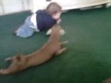 Hund und Baby krabbeln um die Wette Hund und Baby krabbeln um die Wette