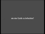 Spermien Spermien