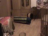 Dumme Katze