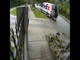 Dreister Paketbote Dreister Paketbote