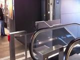 Taube mag Rolltreppe