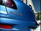 Hund und Auto Hund und Auto